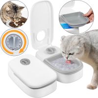 Автоматична подвійна годівниця дозатор 2-Meal Pet Feeder MA - 6 для собак і кішок 659-3 з таймером, Комплект годівниць 2шт по 600 мл для тварин