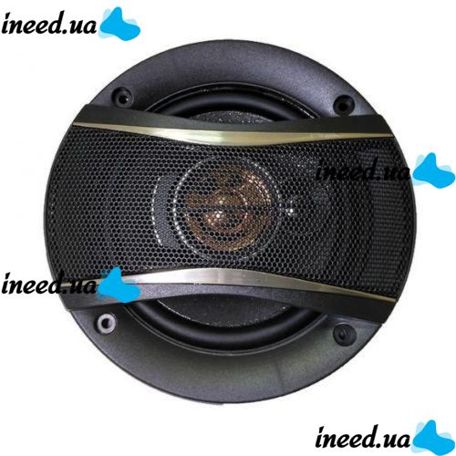 Automotive acoustics Pioneer TS-1396E 260W car speakers 5", 13 cm
