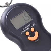 Digital Canter Scale ACS 601 Canter up to 50 kg 603 Domotec MS-50, Handheld Pocket Electronic Scale without change, Electronic Canter Scale Black