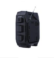 Radio Portable Bluetooth Speaker Golon RX-688 BT Radio Receiver