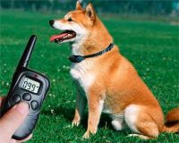 Electric Dog Training Training Collar Remote Pet Dog Training Collar with LCD Display, Battery-powered Electronic Dog Training Collar