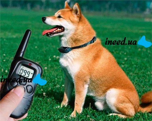 Electric Dog Training Training Collar Remote Pet Dog Training Collar with LCD Display, Battery-powered Electronic Dog Training Collar