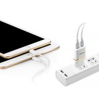 Awei C-930 USB Network Adapter for 2 USB 5V, 2.1A from 220V network