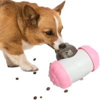 Інтерактивна годівниця дозатор Pet Leakng Toy LY-732 для повільного харчування собак і кішок, іграшка диспенсер AND з отвором для корму для тварин