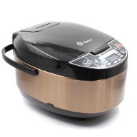 Domotec MS-7723 900W Gold Steel Slow Cooker with 5 liter deep fryer 11 programs