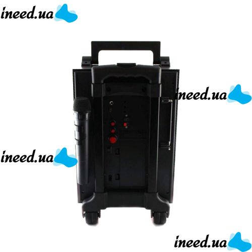 Wireless Bluetooth Speaker X-BASS Golon RX-2900BT with Color Music and Microphone
