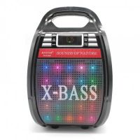 Portable Wireless Bluetooth Speaker Suitcase X-BASS Golon RX-810BT with Light Music and Microphone, Acoustic Bluetooth System with Karaoke Black