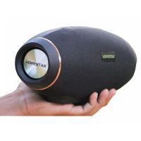 Беспроводная Bluetooth колонка HopeStar H20 31W Портативная влагозащищенная акустика