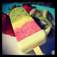 Yonanas Ice Cream Maker Food Processor for processing fruits and berries Yonanas Frozen Treat Maker