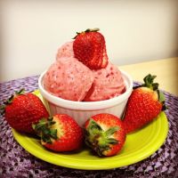 Yonanas Ice Cream Maker Food Processor for processing fruits and berries Yonanas Frozen Treat Maker