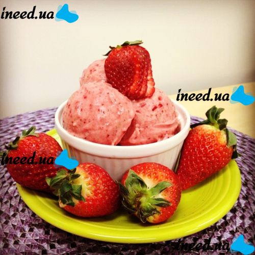 Yonanas Ice Cream Maker Food Processor for processing fruits and berries Yonanas Frozen Treat Maker