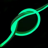 Світлодіодна силіконова стрічка LED NEON Green 0764 5 м з блоком живлення IP65, універсальна неонова гнучка підсвітка 12v-220v 5M в силіконі Зелена