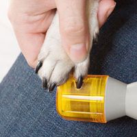 Тример для кігтів Pedi Paws (Педі Паус ) пилка для кігтів тварин PediPaws