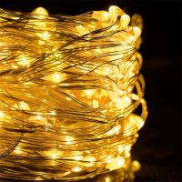 Indoor LED Garland Ponytail 200LED Diodes 2M 10 Strands Warm White For Home Garland Dew 10 Strings of 2 Meters USB Warm White