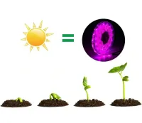 Світлодіодна фитолента GrowLight 5V USB 2835 для вирощування кімнатних рослин 2 м, гнучка LED стрічка підсвічування повного спектру для росту розсади