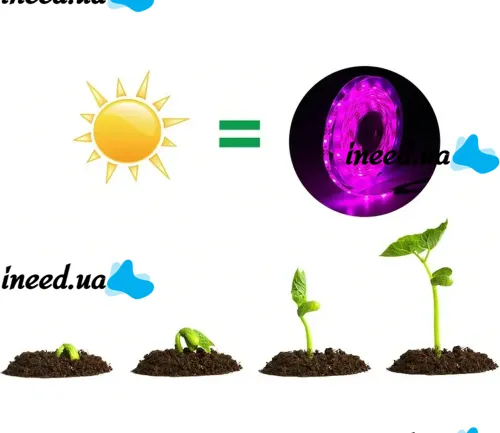 Світлодіодна фитолента GrowLight 5V USB 2835 для вирощування кімнатних рослин 2 м, гнучка LED стрічка підсвічування повного спектру для росту розсади
