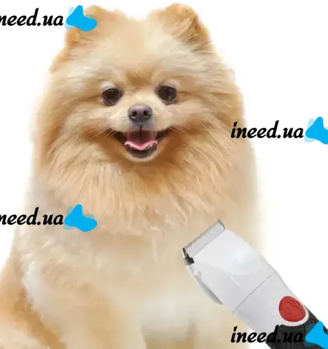Бездротова акумуляторна машинка Paw Perfect для стрижки та грумінгу тварин, Тример грумер для собак і кішок 2 швидкості 4 насадки 10w Біла