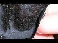 Black mask Pilaten Black Mask in a tube, cleansing face mask - film from black dots