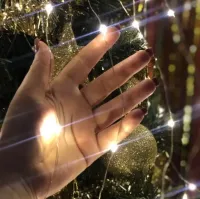 Indoor LED Garland Ponytail 200LED Diodes 2M 10 Strands Cold White for Home Dew 10 Strings of 2 Meters USB Cold White