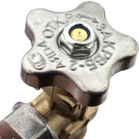 Gas valve VB-2 nozzle for installation on propane cylinders for liquefied petroleum gases with safety valve and adapter