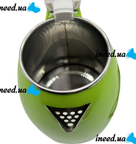 Newberg NB-856 1.8 Liter 1800W Electric Kettle with Iron Flask, Disc Electric Kettle with Automatic Shutdown for Kitchen BN-856 Green