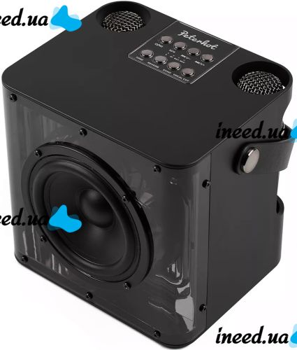 Rechargeable Karaoke Speaker Peterhot A99 Acoustic Bluetooth System with Two Wireless Microphones and RGB Color Music USB microSD CL-227