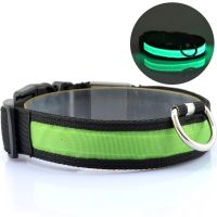Luminous Fabric Collar Glow Ring for Cats and Dogs LED Neon with LED Backlight on Battery with USB for Pets