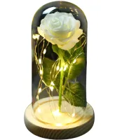 Вічна декоративна троянда в колбі 20 см з LED підсвічуванням N-651, Романтичний подарунок нічник Біла трояндочка з гірляндою від батарейок для дівчини