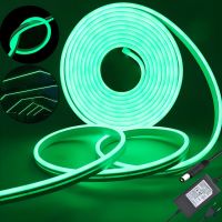 Світлодіодна силіконова стрічка LED NEON Green 0764 5 м з блоком живлення IP65, універсальна неонова гнучка підсвітка 12v-220v 5M в силіконі Зелена