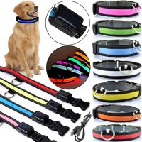 Luminous Fabric Collar Glow Ring for Cats and Dogs LED Neon with LED Backlight on Battery with USB for Pets