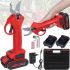 Rechargeable garden pruner Kraftech 40-1 48V electric garden shears, twig cutter with 2 batteries in a case 2100 mah 800W