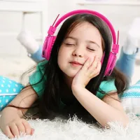 Wireless Bluetooth Stereo Headphones Nia X5SP Foldable Stereo Headphones 5 in 1 with Microphone, MP3 Player, Bluetooth FM Radio, Speaker for Phone