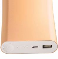 Portable Charger Xiaomi MI Power Bank 20800 mAh External Battery, Charging for IOS Android Phone Powerbank 2.1A USB Gold