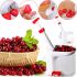 Машинка удаления косточек из вишни Gstore Helfer Hoff WB-1260 ручная вишнедавка, отделитель вишневых косточек, Вишнечистка Cherry seed с контейнером