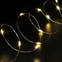Indoor LED Garland Ponytail 200LED Diodes 2M 10 Strands Warm White For Home Garland Dew 10 Strings of 2 Meters USB Warm White