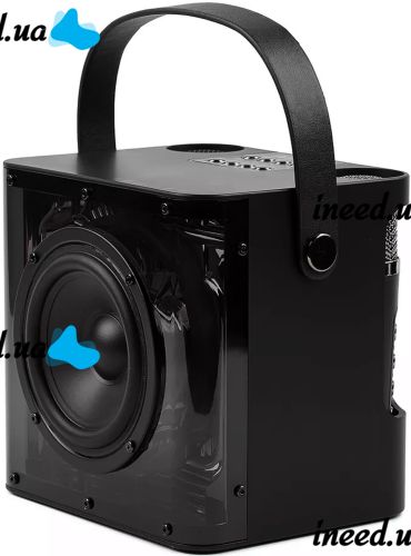 Rechargeable Karaoke Speaker Peterhot A99 Acoustic Bluetooth System with Two Wireless Microphones and RGB Color Music USB microSD CL-227