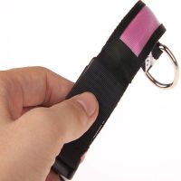 Luminous Fabric Collar Glow Ring for Cats and Dogs LED Neon with LED Backlight on Battery with USB for Pets