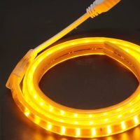 Кабель питания адаптер для светодиодной LED ленты 5050 Foton Power Cable Neon с контроллером 220V IP65, Шнур вилка для светодиодного неона от 220В