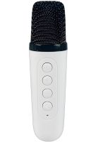 Portable Night Light with Karaoke Lightshow YS-110 Desktop Wireless Lamp with Bluetooth Speaker, Two Microphones and RGB LED Backlight