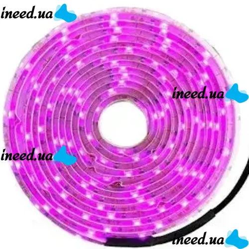 Світлодіодна фитолента GrowLight 5V USB 2835 для вирощування кімнатних рослин 2 м, гнучка LED стрічка підсвічування повного спектру для росту розсади