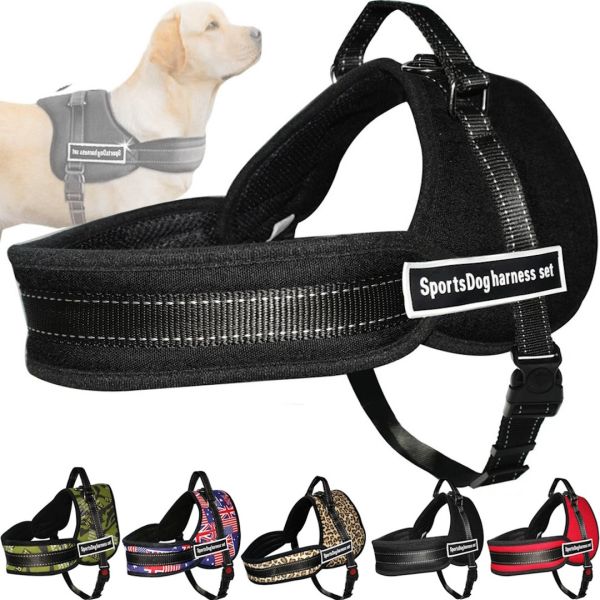 Нейлоновая шлейка для собак Sports Dog Harness Set нагрудный регулируемый ремень для животных, Поводок жилет с грудным обхватом для выгула собак