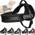 Nylon Dog Harness Sports Dog Harness Set Chest Adjustable Pet Strap,Leash Vest with Chest Girth for Dog Walking