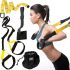Тренувальні підвісні петлі TRX Pro Fit Studio suspension ремені для силових тренувань кроссфіта, фітнесу та турніка всього тіла ТРХ Lumo Yellow
