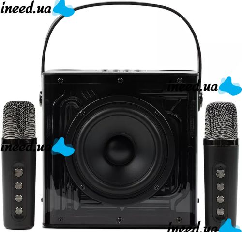 Rechargeable Karaoke Speaker Peterhot A99 Acoustic Bluetooth System with Two Wireless Microphones and RGB Color Music USB microSD CL-227