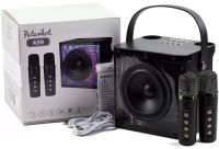 Rechargeable Karaoke Speaker Peterhot A99 Acoustic Bluetooth System with Two Wireless Microphones and RGB Color Music USB microSD CL-227