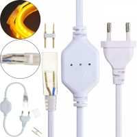 Кабель питания адаптер для светодиодной LED ленты 5050 Foton Power Cable Neon с контроллером 220V IP65, Шнур вилка для светодиодного неона от 220В