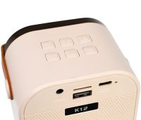 Дитячий бездротовий караоке Speaker K12 2 мікрофони Bluetooth світлодіодна портативна колонка з RGB підсвічуванням на акумуляторі USB AUX LY-736