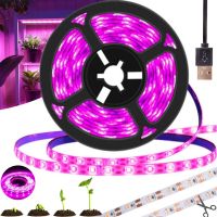 Світлодіодна фитолента GrowLight 5V USB 2835 для вирощування кімнатних рослин 2 м, гнучка LED стрічка підсвічування повного спектру для росту розсади