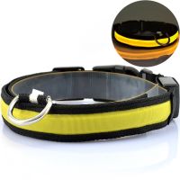 Luminous Fabric Collar Glow Ring for Cats and Dogs LED Neon with LED Backlight on Battery with USB for Pets