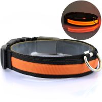 Luminous Fabric Collar Glow Ring for Cats and Dogs LED Neon with LED Backlight on Battery with USB for Pets